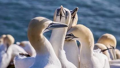 开云体育官网-中国射箭选手新技术应用，精准度提升显著，中国射箭选手新技术应用,精准度提升显著的原因