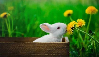 开云体育官网-中国射箭选手新技术应用，精准度提升显著，中国射箭选手新技术应用,精准度提升显著的原因