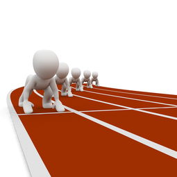 开云体育博彩-中小学体育健康教育课程开发与实践，中小学体育与健康课程指导纲要